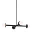 Allegra 4-Light Chandelier-645047012