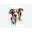 « border collie », impression sur toile-29435177-73437364-73437365