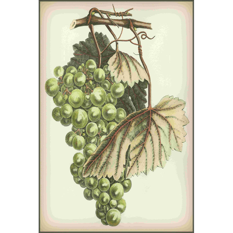 " Green Grapes I " Painting Print, 30" H x 20" W