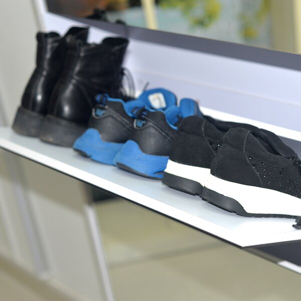 Ebern Designs 16 Pair Shoe Storage Cabinet & Reviews | Wayfair