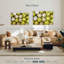 Collection de balle de Sirci-107489547