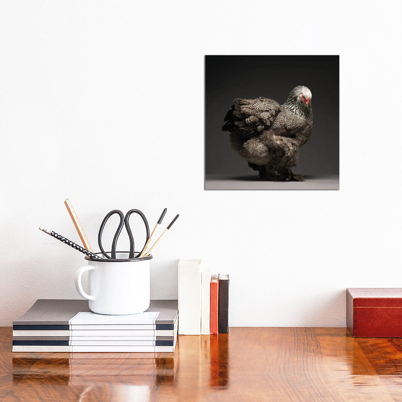 Brahma - Wrapped Canvas Print, 30.48 cm H x 30.48 cm W