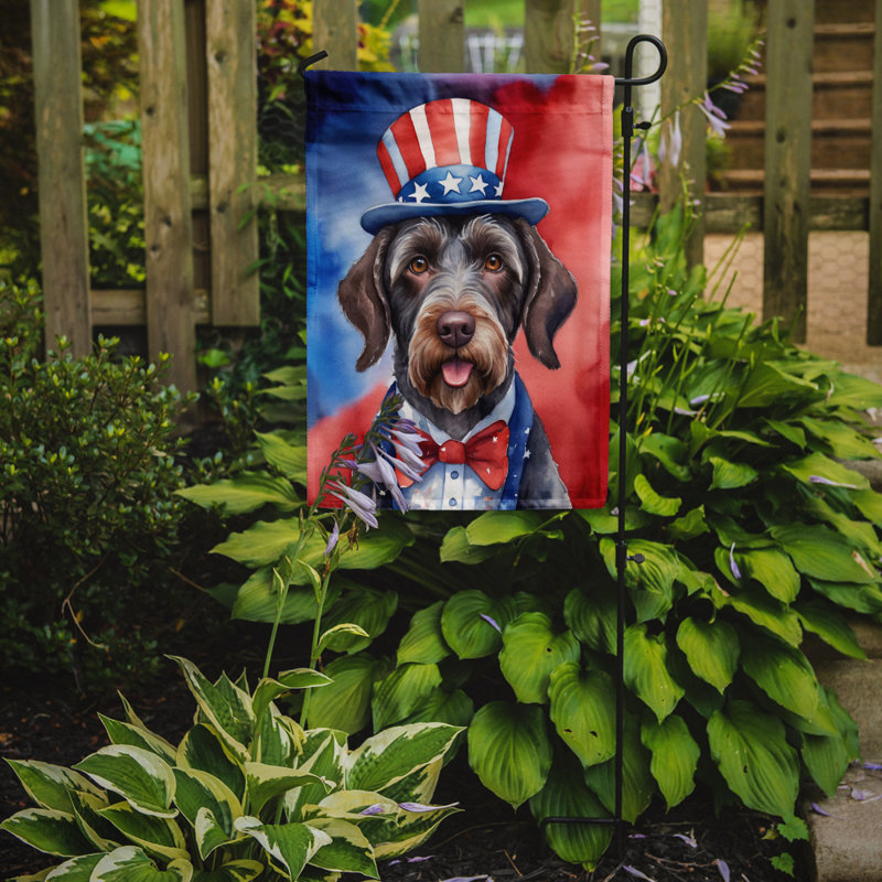 Drapeau patriotique du jardin américain, Braque allemand à poil dur