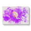 Jellyfish - Wrapped Canvas-56655994