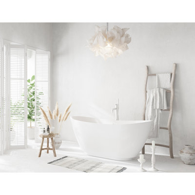 Labrusca 67'' x 28.3'' Freestanding Soaking Fiberglass Bathtub