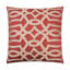 Neron Pillow Cover & Insert-33066597-114598749
