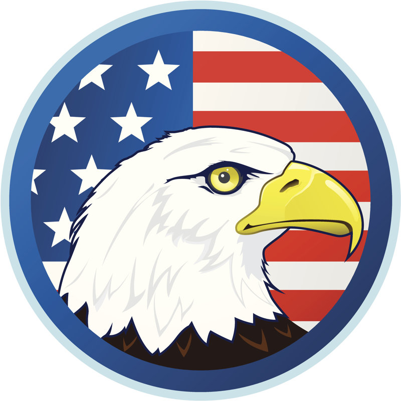 Bald Eagle And American Flag by Lazarev - Wrapped Canvas Print, 51cm H x 51cm W x 3.8cm D