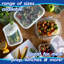 Glass Food Storage Container