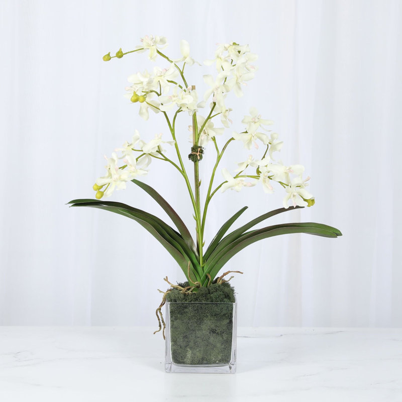 Faux Orchid Plant In White Vase, White