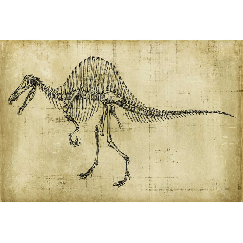 «Spinosaurus Study» par Ethan Harper - reproduction d'art sur toile tendue, H 8 po x l 12 po x P 1,25 po