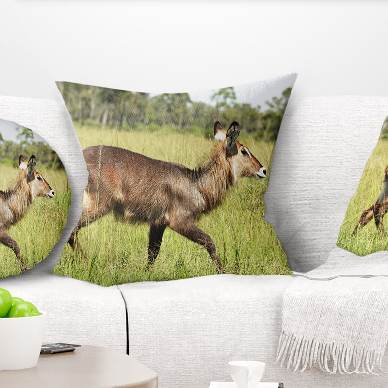 Antilope Waterbuck dans l'herbe verte - coussin imprimé animal, 16 po x 1 po, Coussin décoratif