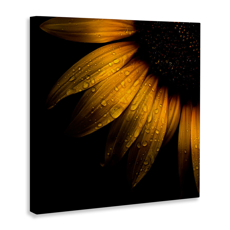 Détail de tournesol avec toile de gouttelettes, design par Brian Carson, H 24 po x l 24 po