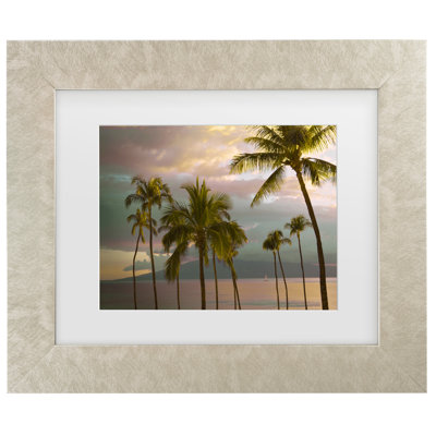 Art sur toile, "Palmeraie au coucher du soleil d'Hawaï", encadré sur toile par Carlos Vargas, peinture