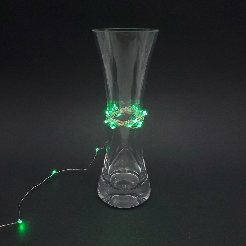 Kennemer Battery Operated LED Fairy String Lights with Timer, Green