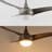Coleigh 52'' Ceiling Fan with LED Lights-2010980605