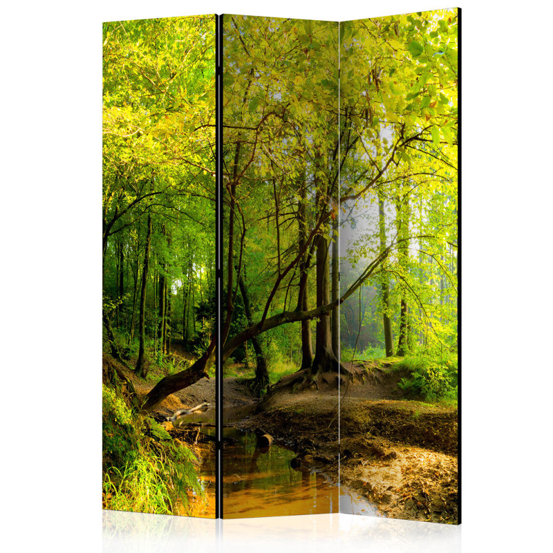135cm W x 172cm H 3 - Panel Solid Wood Folding Room Divider