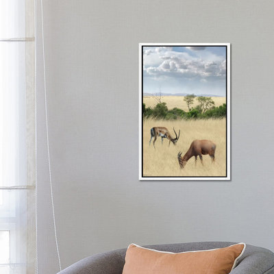 Kenya #2 by Ben Heine - Print on Canvas