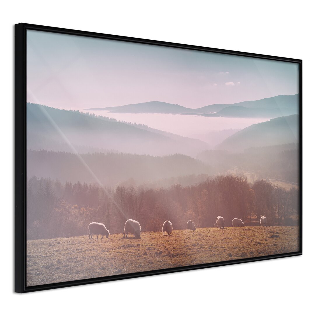 Gerahmtes Poster Mountain Pasture