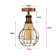Hirsche Semi Flush Mount