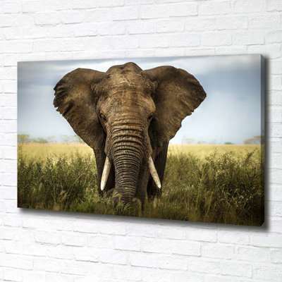 Elephant On The Savanna - No Frame Print on Canvas