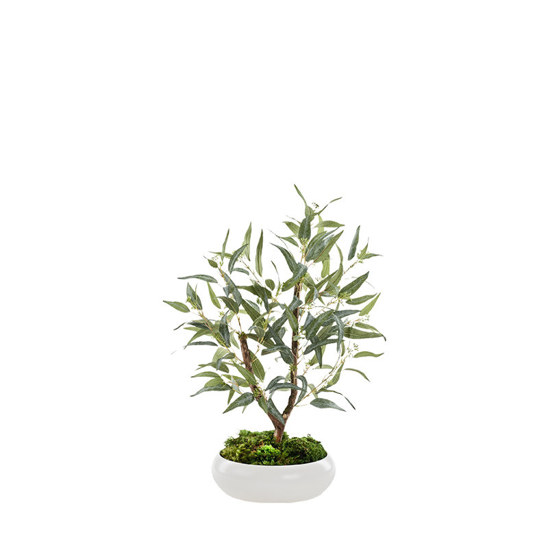 Fruited Eucalyptus in Bowl, White