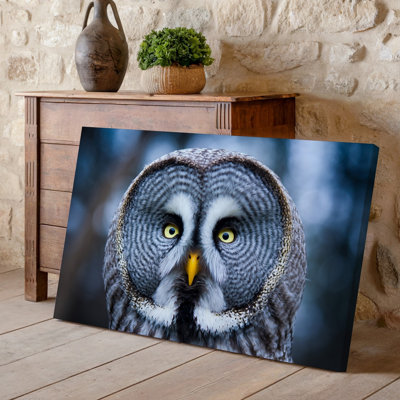 Toile, portrait rapproché d'un hibou majestueux présentant des textures de plumes complexes dans des tons de gris et de brun avec une toile d'art murale