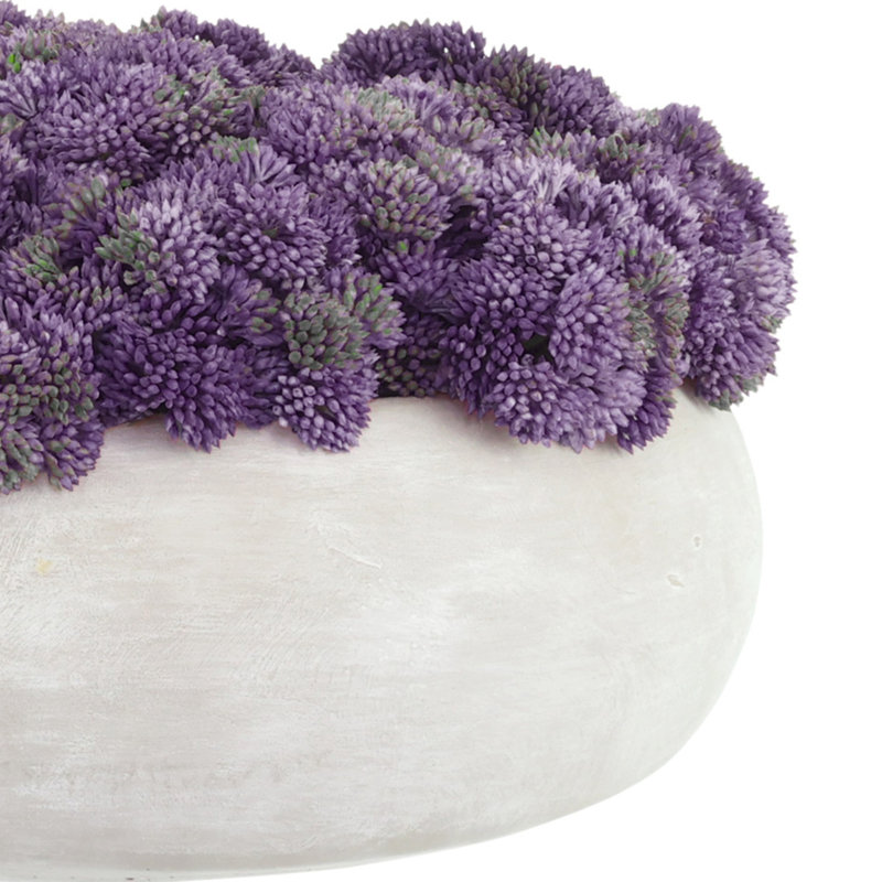 Sedum disposé dans un pot en pierre, H 7 po x l 11 po x P 11 po, Mauve