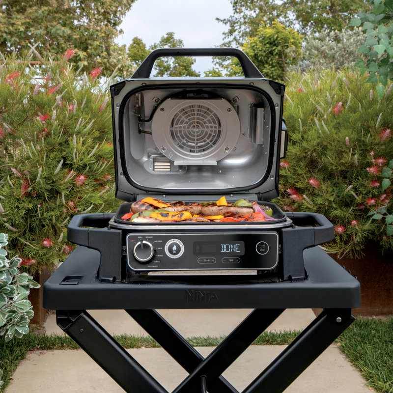 Ninja XSKSTAndC Woodfire Collapsible Outdoor Grill Stand