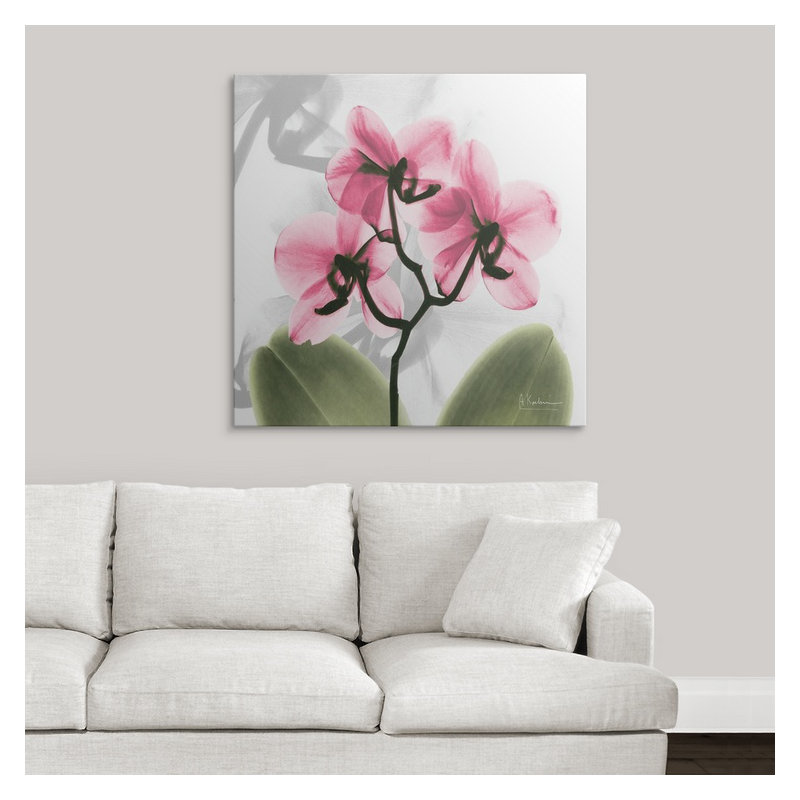 'Orchid X-Ray by Albert Koetsier Photographic Print, 35" H x 35" W x 1.5" D, Canvas