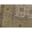 Wool Oriental Area Rug in Gold
