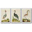 Heron Portrait I, ensemble de 3 toiles encadrées-97792276-97792281
