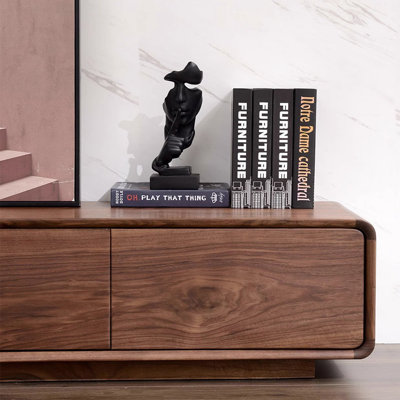 Modern minimalist storage TV cabinet