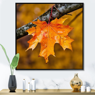 «Canadian Mapple Tree Leaves II», reproduction sur toile