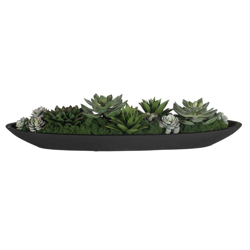 Uttermost Verde Succulent Centerpiece In Bowl