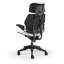 Freedom Headrest Ergonomic Task Chair - Lotus-1905901008