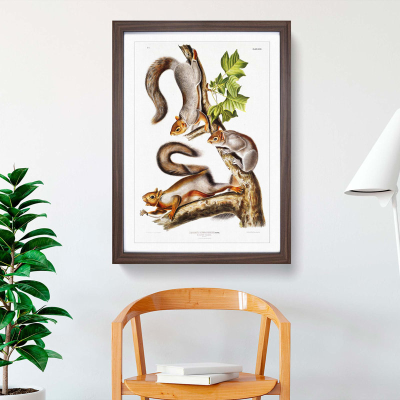 Migratory Squirrels by J.W. Audubon - Picture Frame Painting Print, 65cm H x 48cm W , Walnut Framed