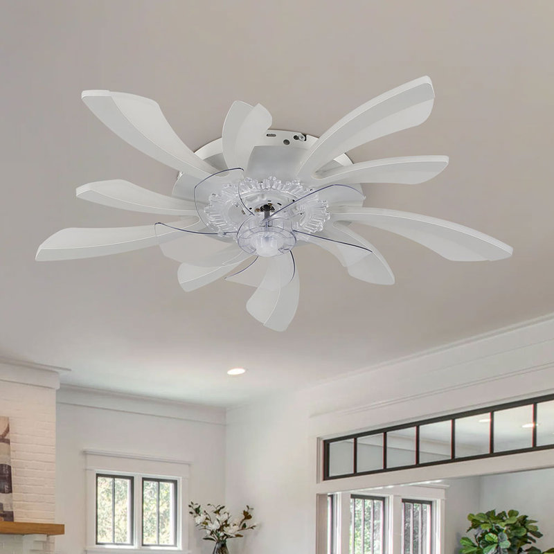 Annuska 78cm Ceiling Fan with LED Lights, White