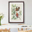 Lenaida Doves by John James Audubon - Picture Frame Painting Print-55582775-55582776