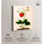 «Strawberry Kitchen», reproduction d'art sur toile par Art Remedy-120040089