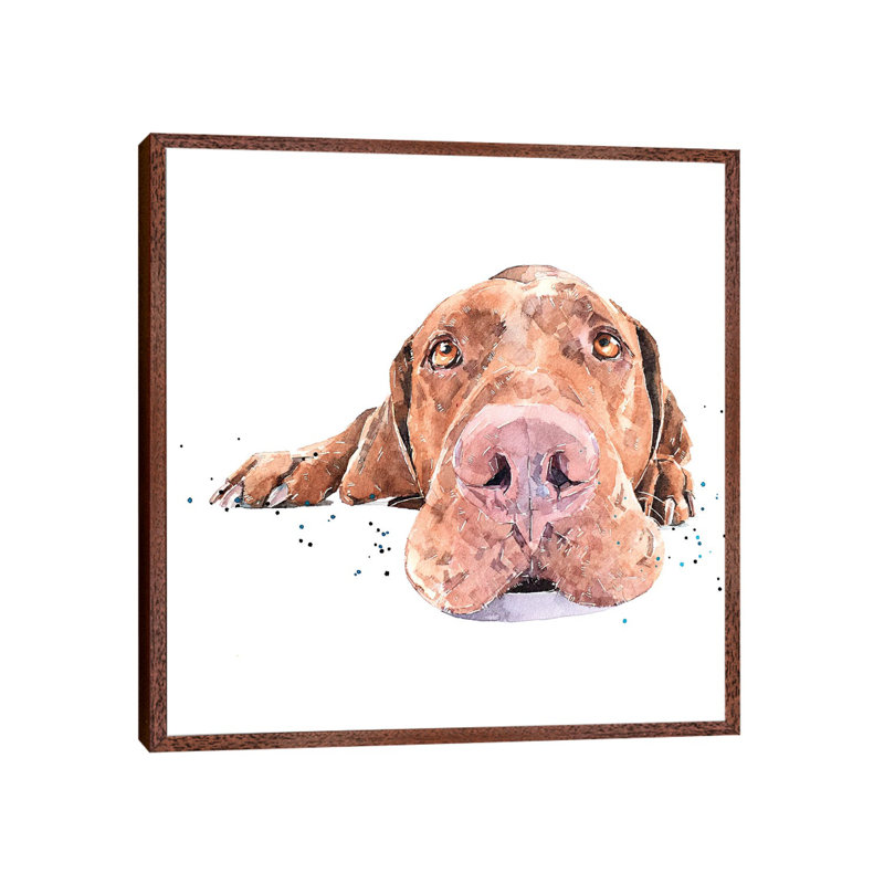 Vizsla Passed Out - Painting on Canvas, 66.04 cm H x 66.04 cm W, Classic Brown Wood Framed