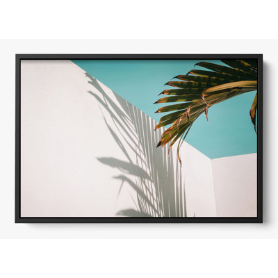 "Summer Shadow"