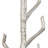 Coolbrook Metal Freestanding Coat Rack
