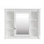 Armoire murale moderne pour salle de bain 35 po x 28 po, beaucoup de rangement, tendance