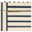 Jona Blue & White Striped Resin Storage Box-181027015