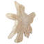 Terrains Solid Wood Wall Decor