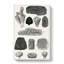 Collection of Fossils by Oliver Goldsmith - Wrapped Canvas Drawing - Wrapped Canvas-55372014