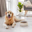 Flower Embossed Pattern Anti-skid Stoneware Dog Bowl-116384228