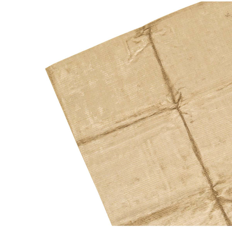 Area Rug in Beige