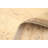 Iwar One-of-a-Kind 9'11" X 13'5" 2010s Wool Area Rug in Ivory