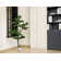 76" Artificial Faux Bonsai Tree In A Tall White Planter